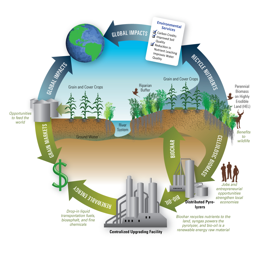Cenusa Bioenergy Cycle Infographic