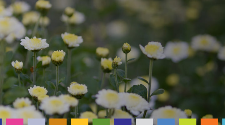 frontpage_background